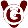 ViperGirls logo image